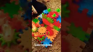 Музыкальный конструктор шестерёнки 👍
