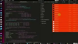 Résultats et analyse des captures prises avec le script (VIDÉO 3)