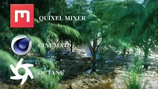 Forest Swamp with Quixel Mixer , Cinema 4D & Octane