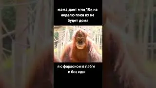 #metroroyale #пабгмобайл