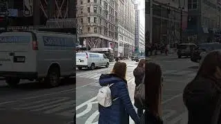 New York  Manhattan  5th avenue  Walk            