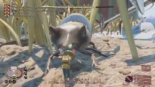 Grounded PS5 Folge 37 / Vergrabene Schätze, Nashornkäfer und der RAID