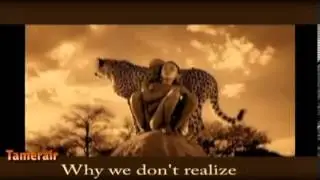 Enigma WHY