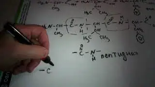 115. Primary protein structure