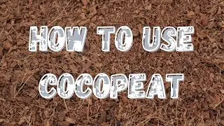 How to use cocopeat block | pot gardning | g.nitt