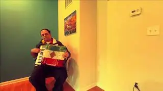 Cover Instrumental Song from “Raanjhanaa” movie on “Accordion”