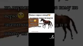 тг:Блохастая собака