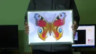 3d-изображения земли и бабочки