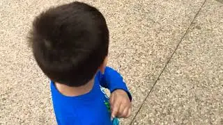 Juego de Elmo solo para bebés