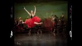 Fotos de Ballet Don Quixot