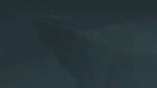 Swimming [Monothys]