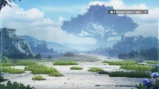 Rank kasma