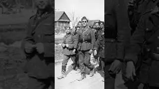 Пехотная дивизия СС «30 января» #германия #history #ww2 #история #война #cc #гитлер  #втораямировая