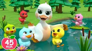 Five Little Colored Duckies🐣| Went Out One Day +MORE Newborn Nursery Rhymes