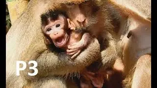 P3: Poor Gino Cry-Cry S0 Hungry and Scare in hand Kidnapper Creuella| Look Sad baby Gino.