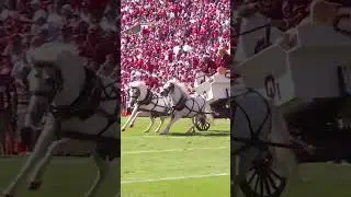 Sooner Schooner crash 😧 #cfb #CollegeFootball #ncaa #oklahoma #tbt