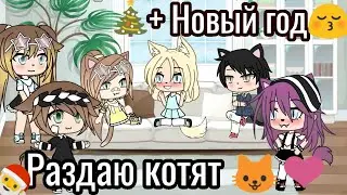 Раздаю котят 🐱❤️ + Поздравления с Новым годом 😄  |•GachA Life•|