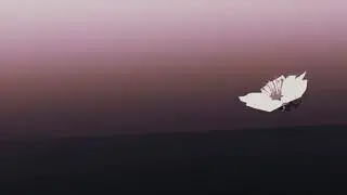 Miyagi - Самурай