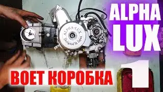 Мопед Альфа | Воет Коробка На Мопеде | Альфа - Люкс