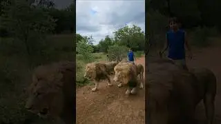 Incredible Animal Adventures! WILD CHARLES