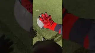 GOALKEEPER ASMR⚽️🔊