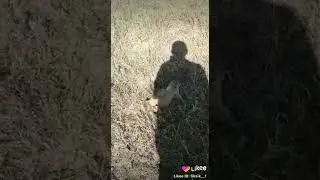ДОГНАЛИ))).