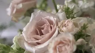 San Diego Flower Shop