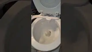 how to install bidet 