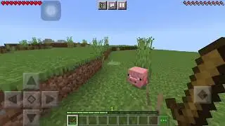 My best friend in Minecraft