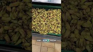 Cobnuts...? What Are Those?