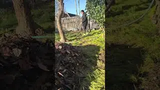 Backyard cleanup 4 fridays bago ko natapos