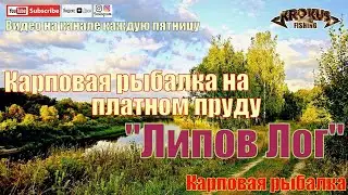 Карповая рыбалка на платном пруду 