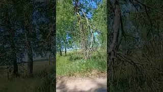 27 мая 2024 г.