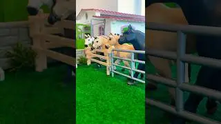 POV you are the new horse schleich horse short video