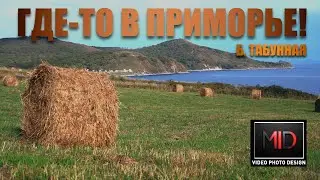 ГДЕ-ТО В ПРИМОРЬЕ!