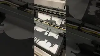 Epson 7890/7900 DTF with shaker. Печать ДТФ Епсон 7890/7900 с шейкером.
