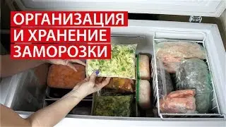 ОРГАНИЗАЦИЯ и ХРАНЕНИЕ ЗАМОРОЗКИ  ★ ХРАНЕНИЕ В МОРОЗИЛЬНОЙ КАМЕРЕ ★ Cветлана Бисярина