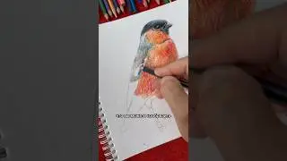 #art