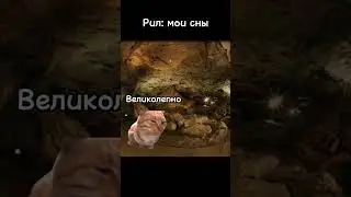Рил: мои сны #shorts #memes #meme #кот #коты #мем #мемы #short