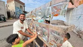 Sari Fish Shop Le Li😍Bht Piari Fishes Hain 🐟 🐠