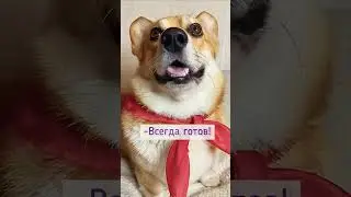 Пионеры нынче не те