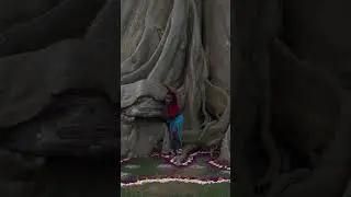 Almost lost my life but I will try again