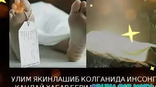 Аллохим бандам деб узи суйса бас!!!