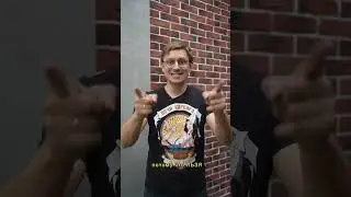 КАКИМИ ДРОВАМИ ТОПИТЬ ПЕЧИ 
