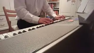 The Corrs - Summer Sunshine (Piano Cover) | Melodaves