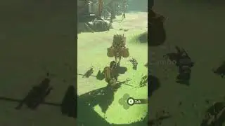 The Rare Phantom Merchant! Breath of the Wild