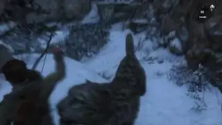 Snow Leopard Battle  - Rise of the Tomb Raider