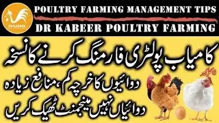 Poultry Farming And High Humidity Problem in Monsoon Season | Dr Kabeer Poultry Farming |