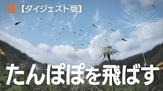 【ダイジェスト版】たんぽぽの綿毛を飛ばしてみる