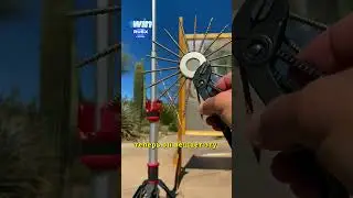 Загадка от Жака Фреско 😱🤯